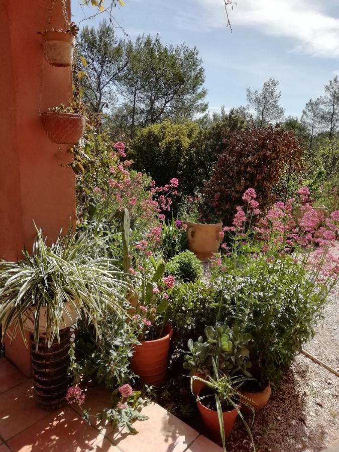 Les Arcs-sur-Argens Chambre D'Hote Le Mas Des Romarins المظهر الخارجي الصورة