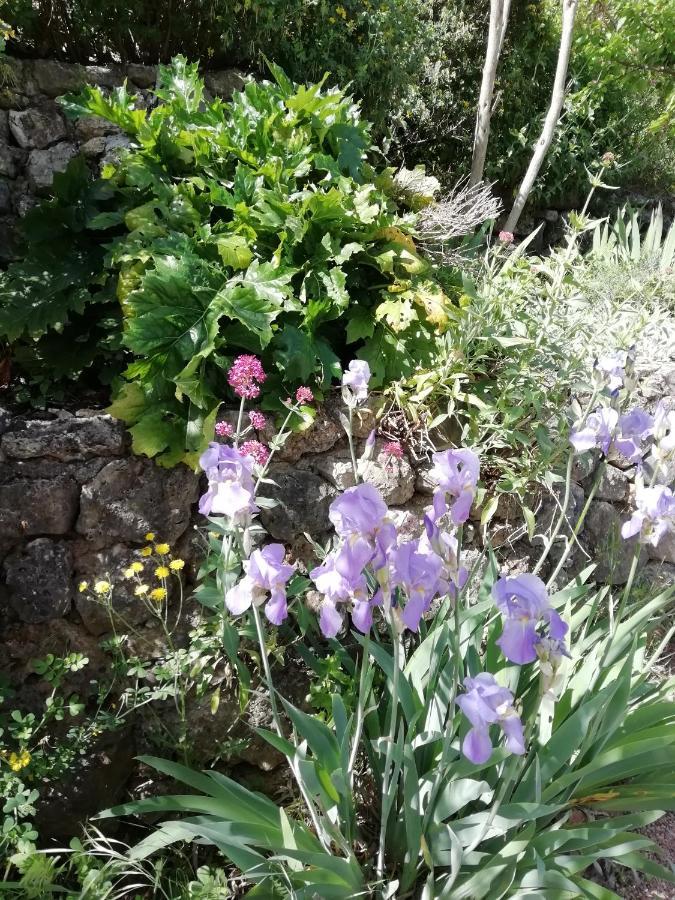 Les Arcs-sur-Argens Chambre D'Hote Le Mas Des Romarins المظهر الخارجي الصورة